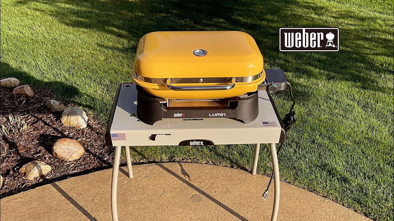 Honest Review of The Weber Lumin Electric Grill! / Is it Worth $489.00?