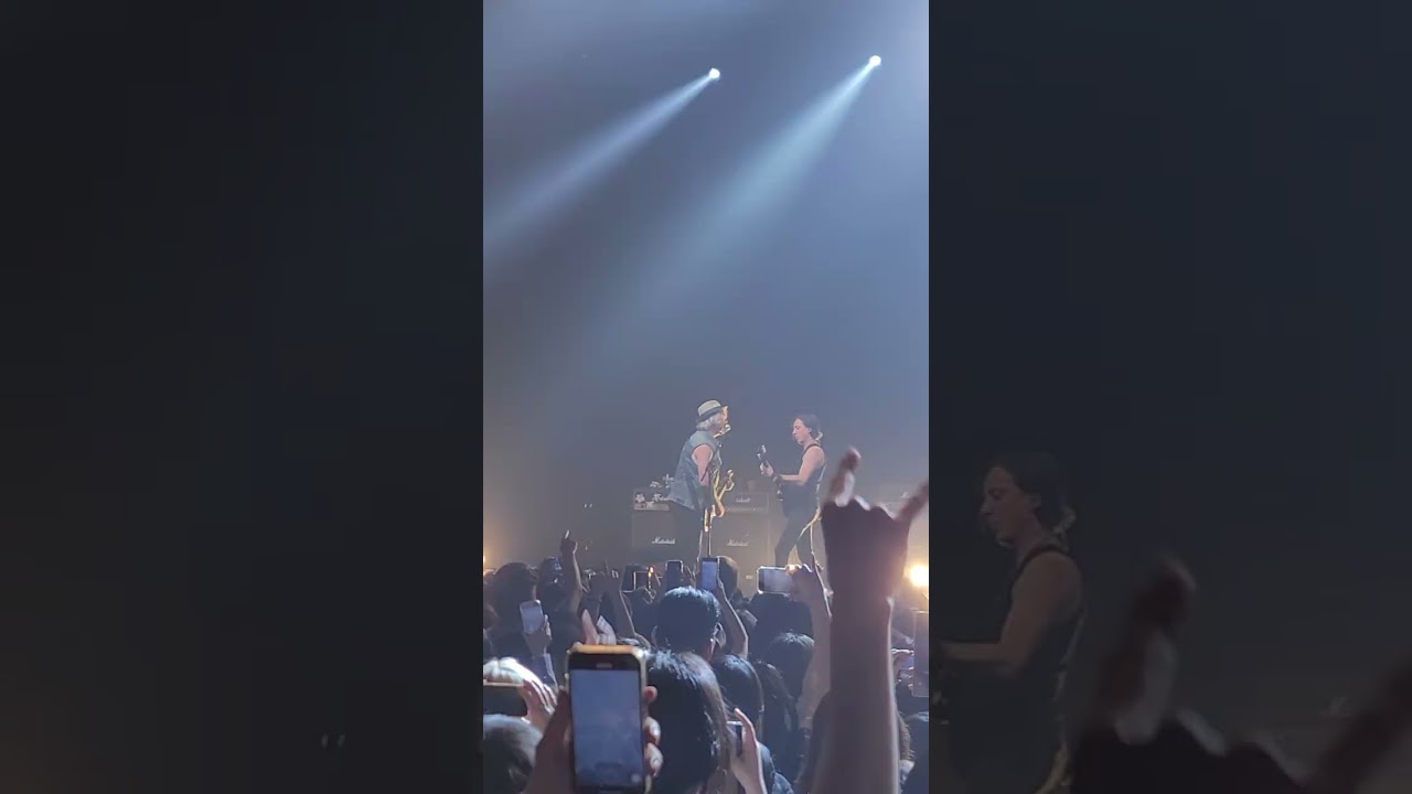 The Libertines - Don't Look Back into the Sun (2025 Live in Korea)