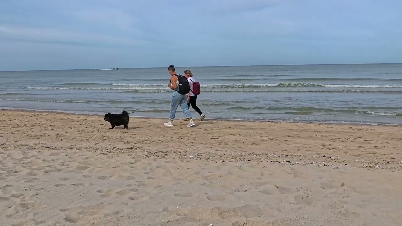 ☀️🌊 Welcome to the charming seaside town of De Haan, Belgium! 🇧🇪