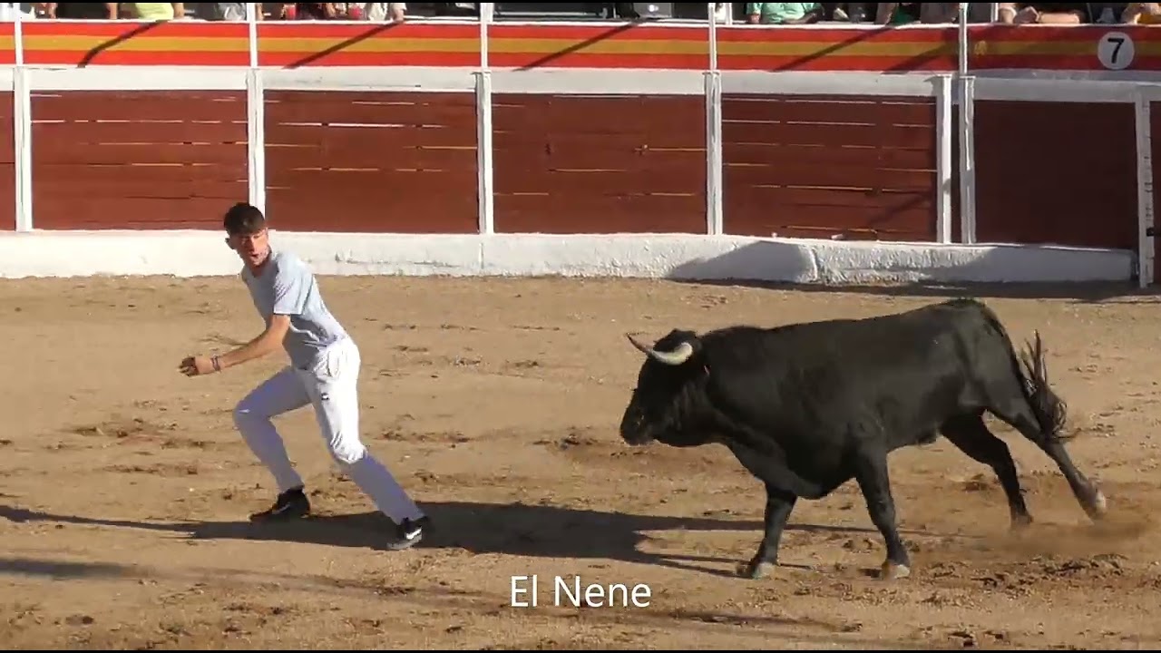Fuentidueña de Tajo 2025