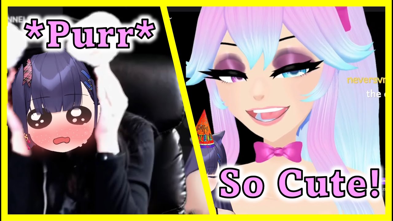 Cotton Makes Numi ṖṴRR with her Cat Ears IRL