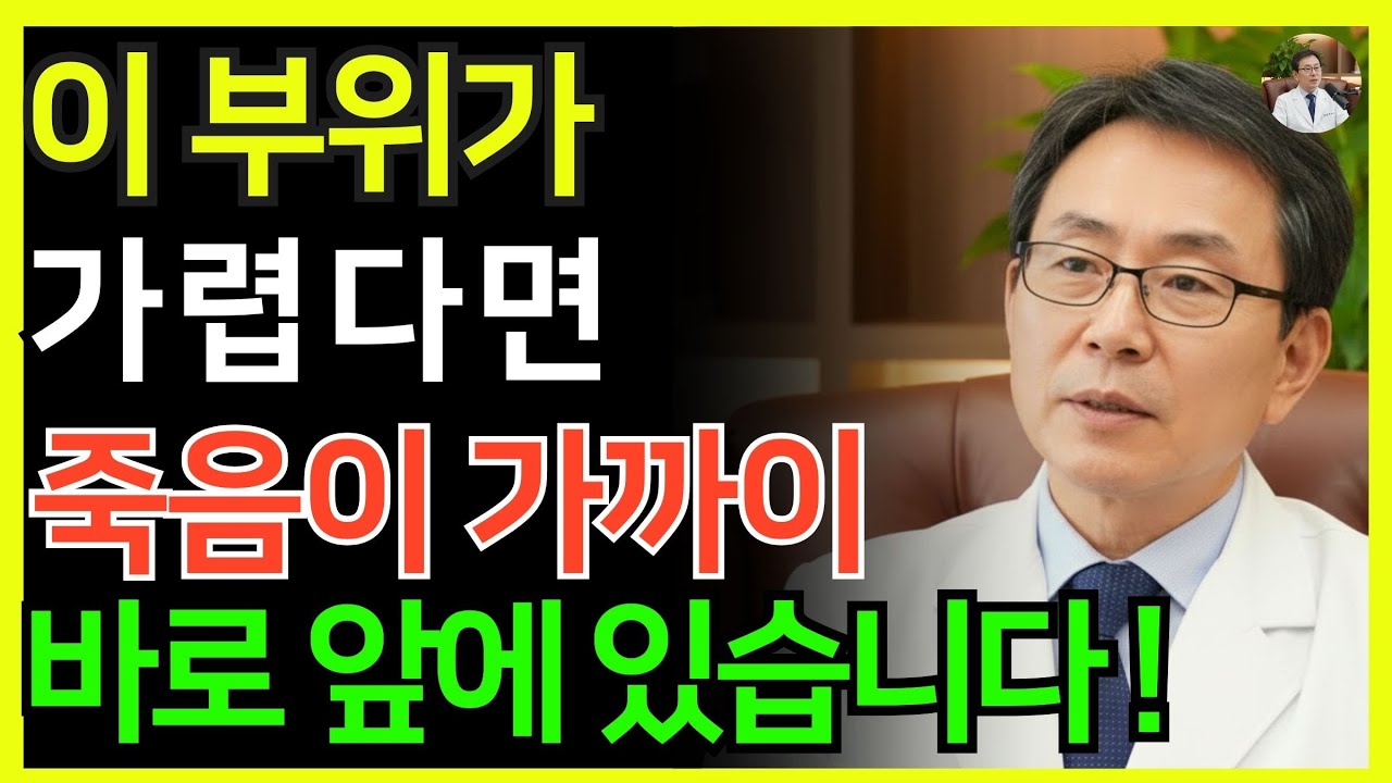 가려움에서 죽음이 찾아옵니다! 이 3곳이 가렵다면 혈관 수명이 짧아질 수 있습니다| 의사가 말하지 않는 뇌의 비밀 | 혈관 회복 | 시니어 건강