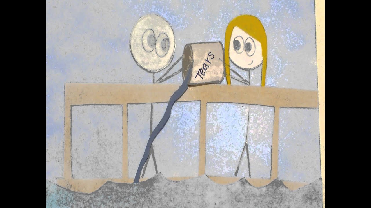Honey and the Bee Owl City Music Video
