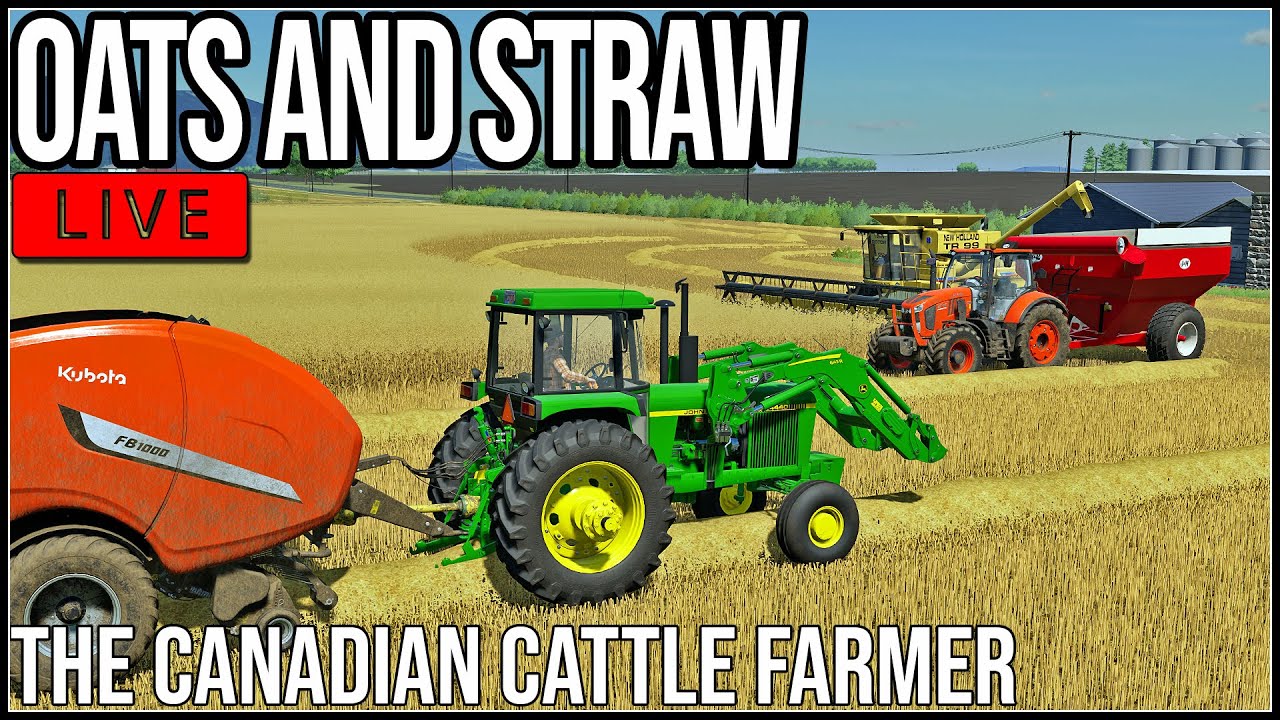 🔴LIVE 🔴 Oats and Straw - The Canadian Cattle Farmer - Episode 26