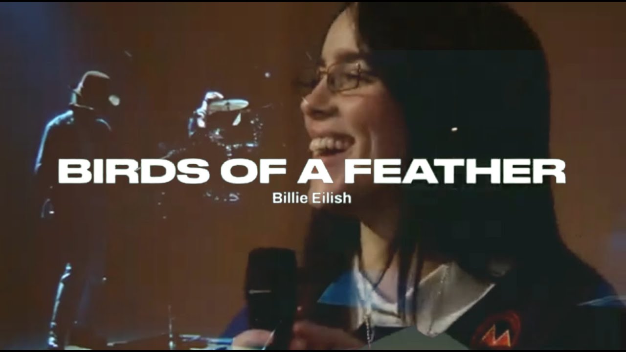 Billie Eilish - BIRDS OF A FEATHER (Remix Mashup)