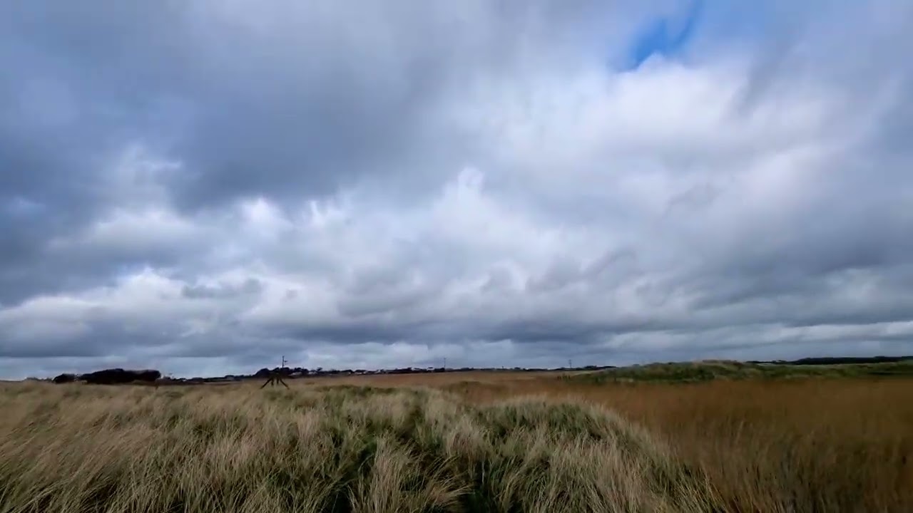 #water #windy #grasses #reeds #sky #clouds 