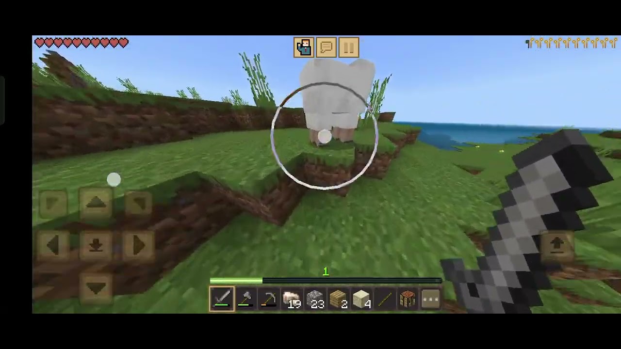 Sehinu is playing with ronak minecraft together