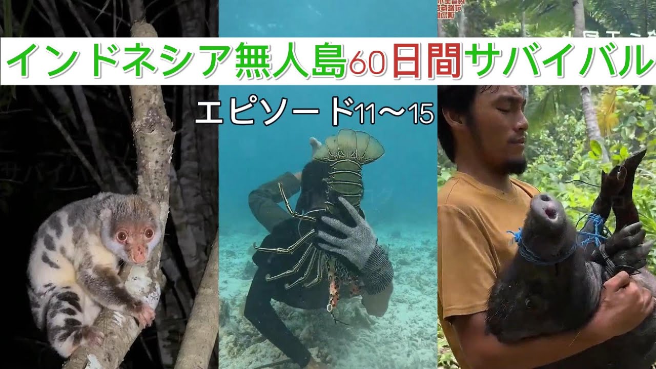 (エピソード11～15)インドネシア無人島で60日間サバイバル！豊富な海鮮と生きる日々 | ダートウとジン兄サバイバル生活