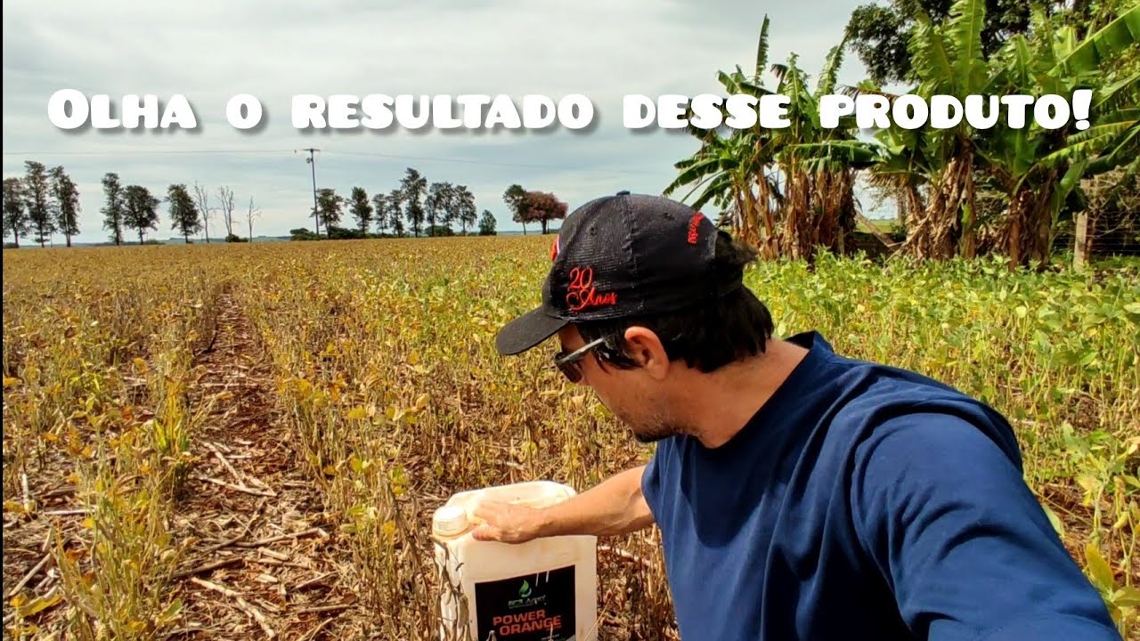Dessecação com Finale 4 dias após a Aplicação, e o produto que usei para ter esse resultado!