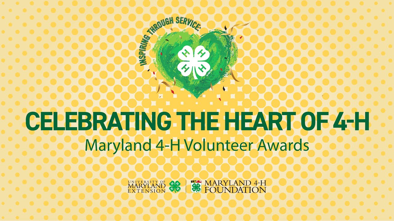 Volunteer Awards 2023
