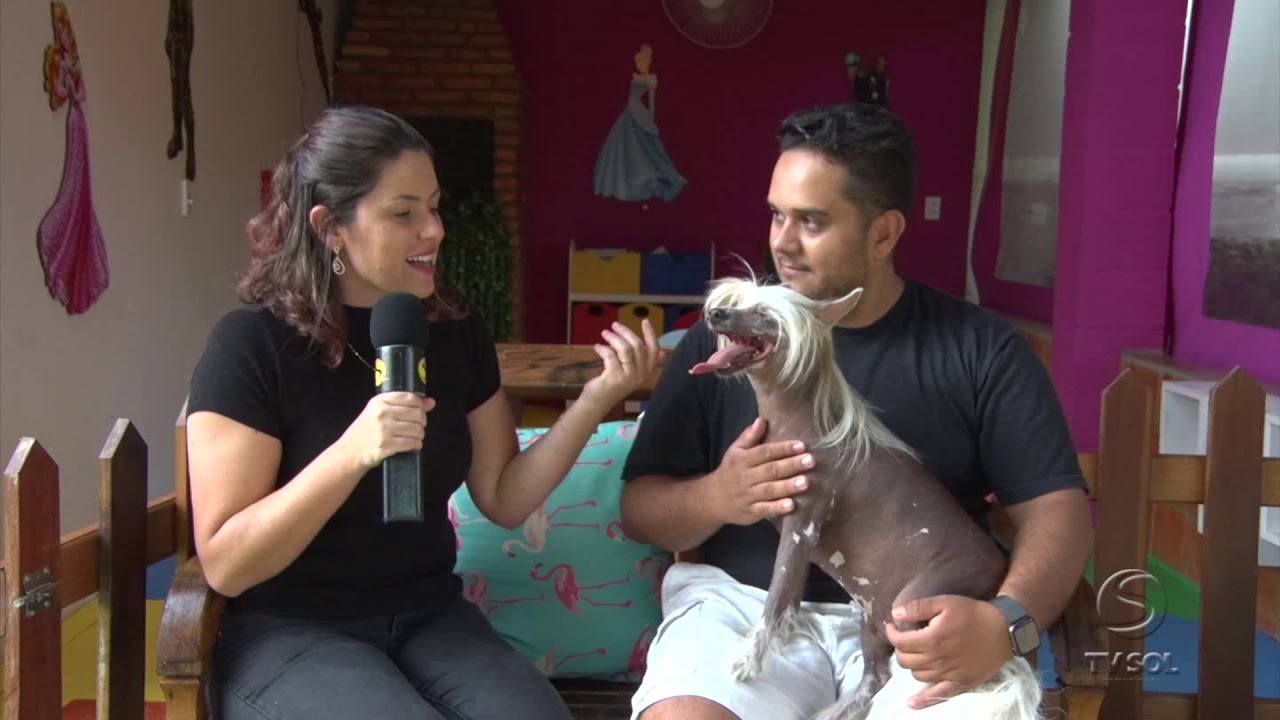 Pet Patas - Crista chinês e Hospital Veterinário Unimax - Parte 1| TV Sol Comunidade