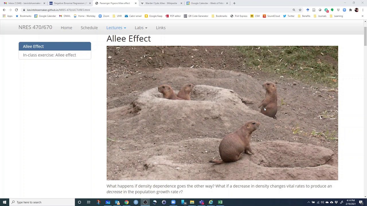 Allee effect lecture and demo