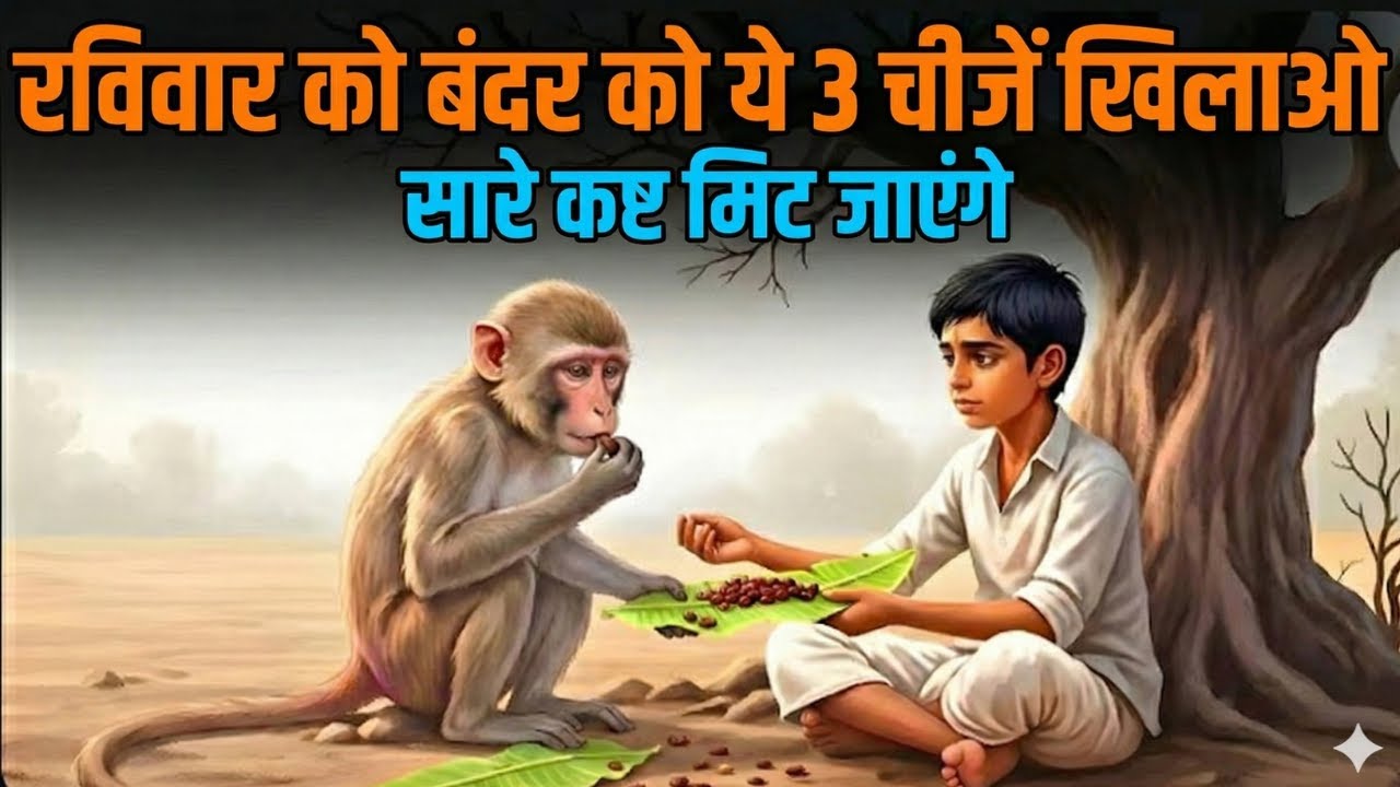 रविवार और हनुमान जी का रहस्य: बंदर को ये 3 चीजें खिलाने से मिटेंगे सारे कष्ट | Manvit Stories