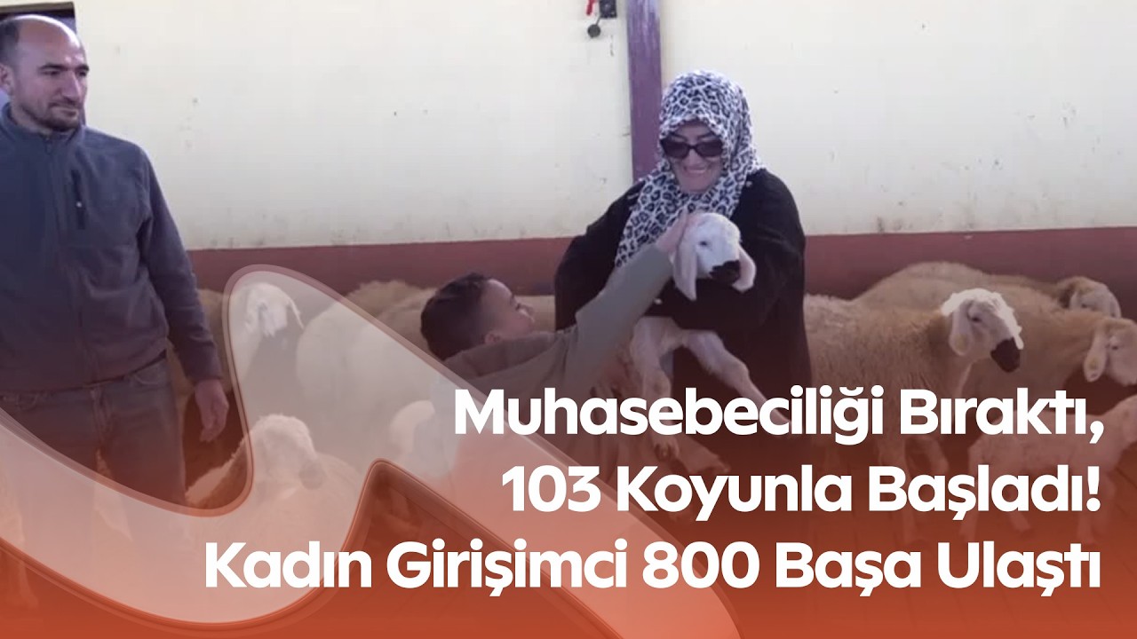 Kahramanmaraş’ta Kadın Girişimci Başardı! TKDK Desteğiyle Kurduğu Çiftlikte 800 Koyun