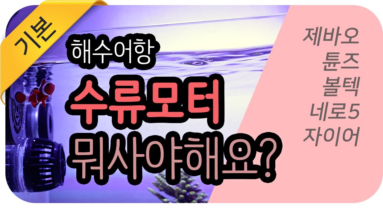 해수어항 세팅 시 필수로 알아야하는 수류모터의 모든 것 1편