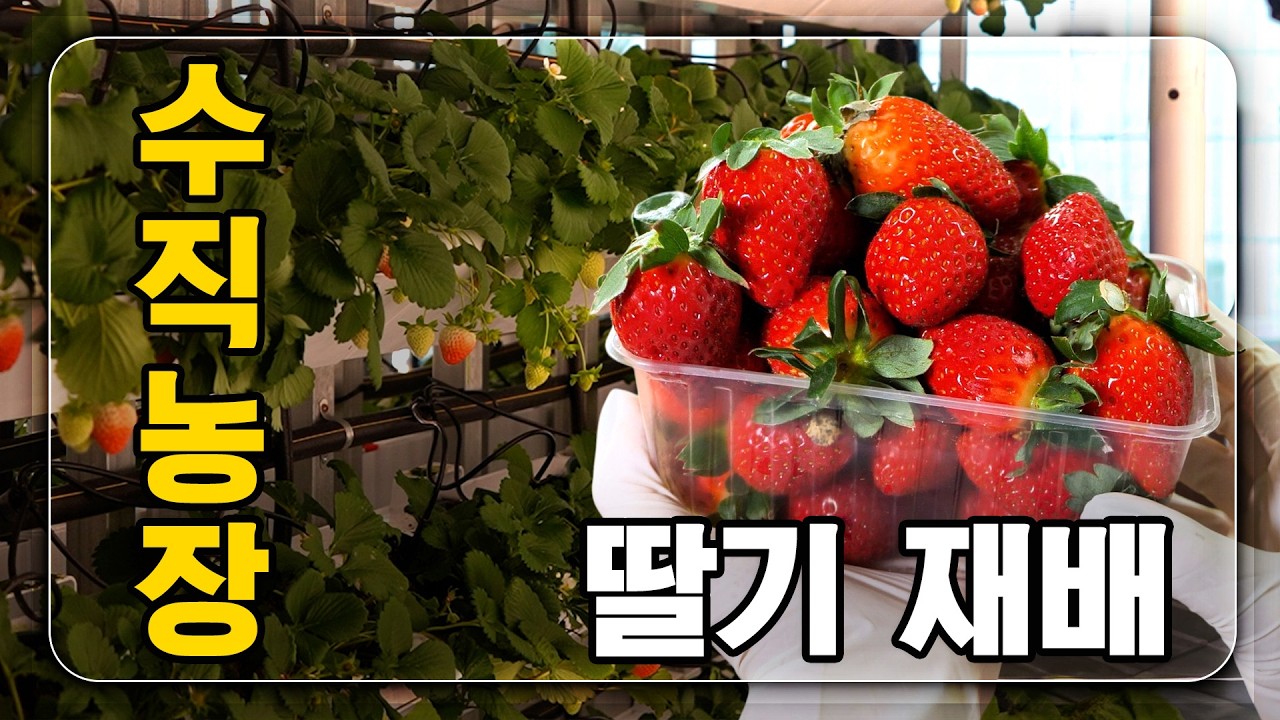 수직농장은 어떻게 재배할까?