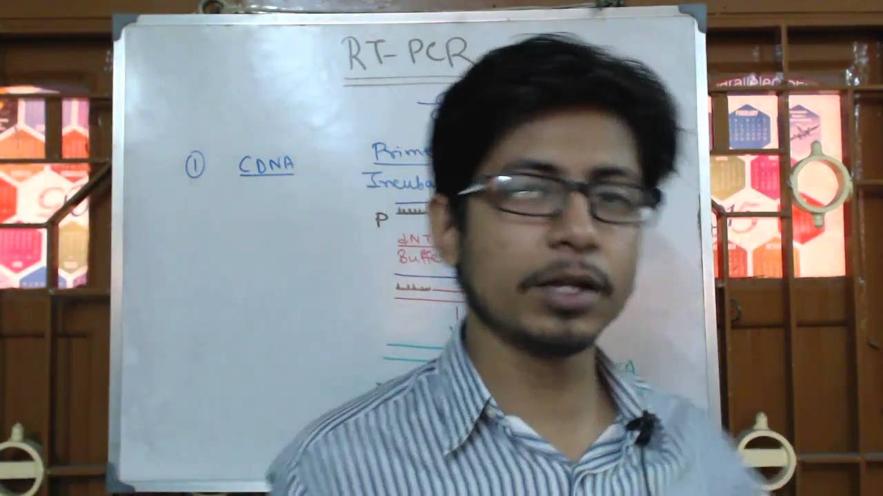 Reverse transcription PCR - RT PCR procedure