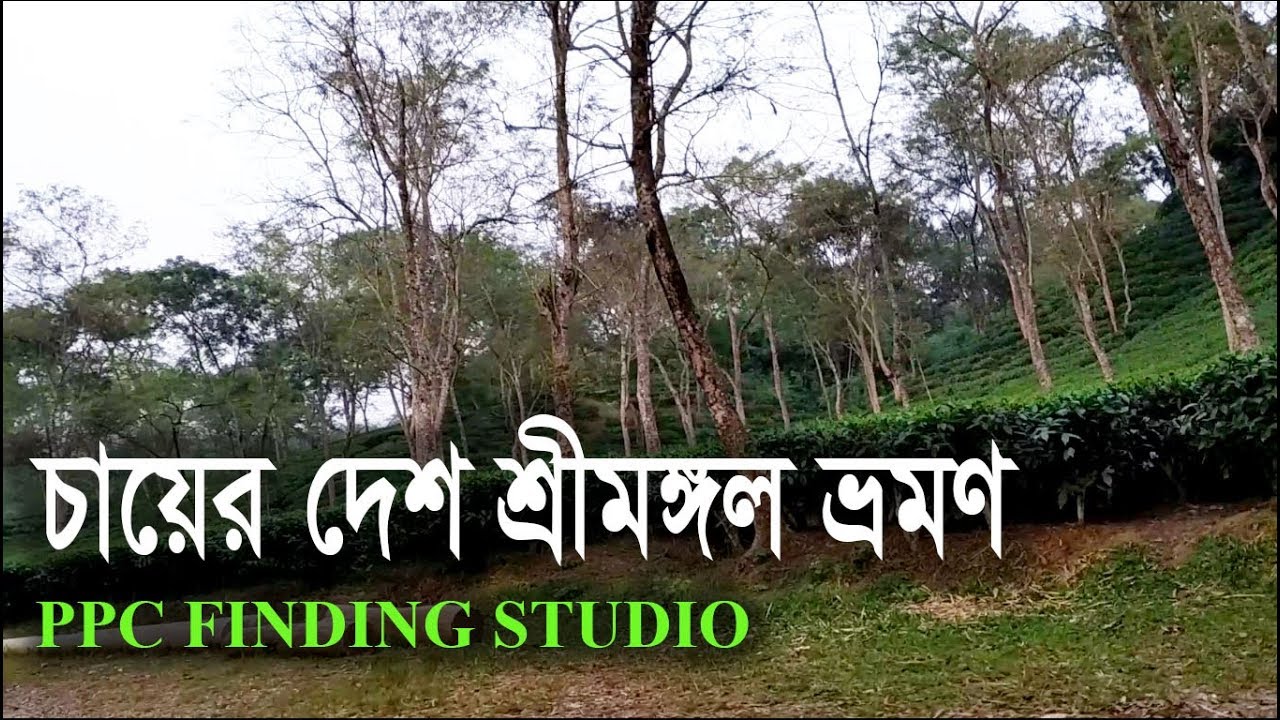 চায়ের রাজধানী খ্যাত শ্রীমঙ্গল ভ্রমণ || Sreemangal Tour capital of tea || James Baroi || PPC Finding