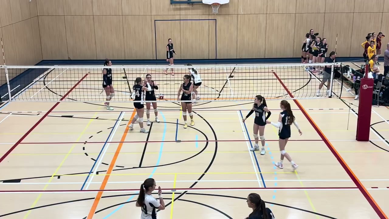 Panthères vs Estacade