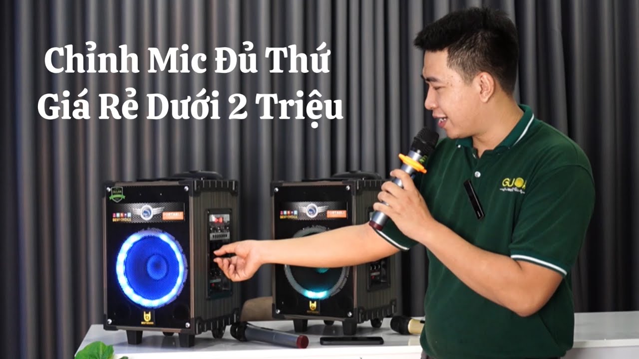 Loa Karaoke Giá Rẻ Mà Có Delay - TWS - CHỈNH BASS TREBLE MIC - ĐỘ MICRO