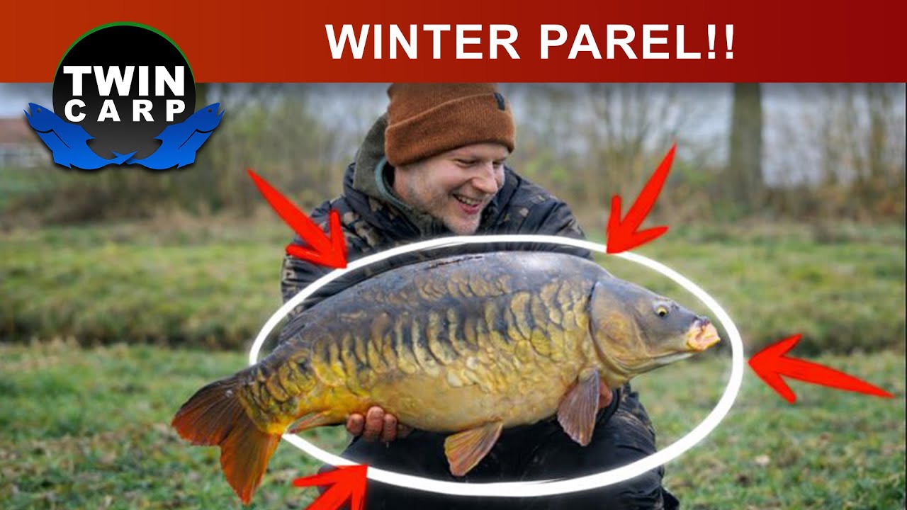 Karpervissen - Winter tips & TARGET!!