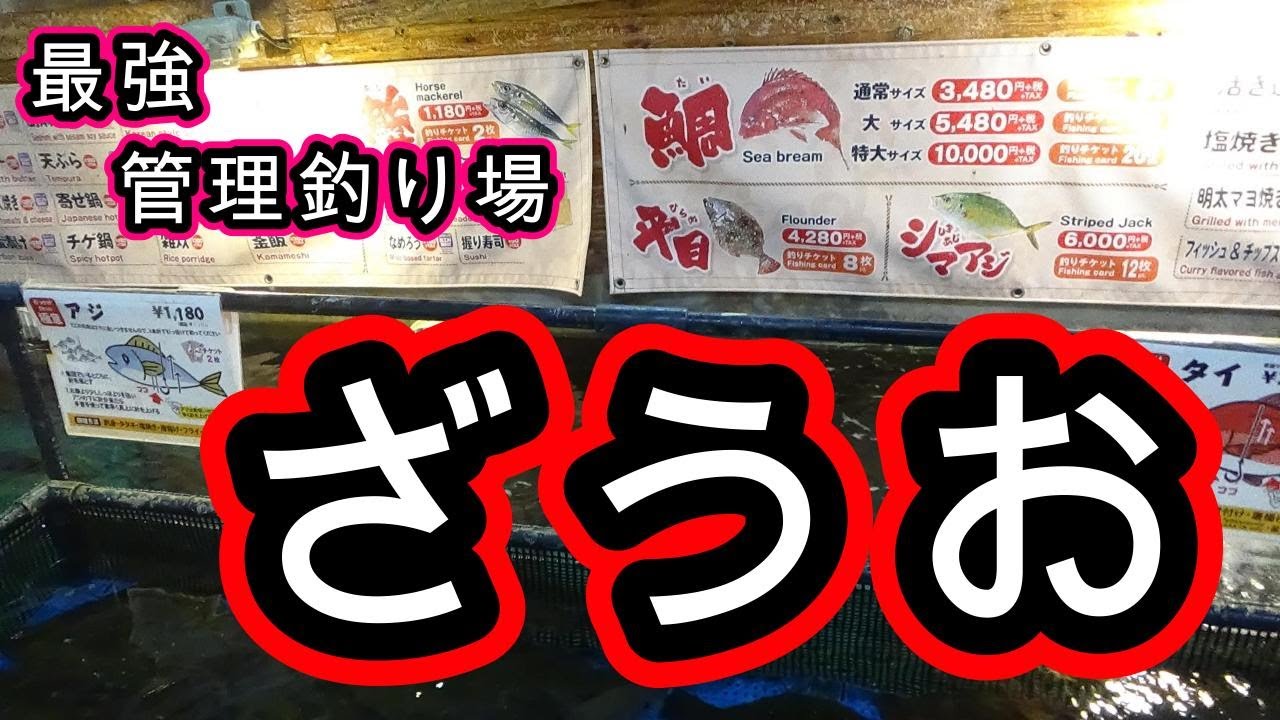 【新宿で1番釣れる場所】ざうおで釣る#エンタメ #釣り#居酒屋 
