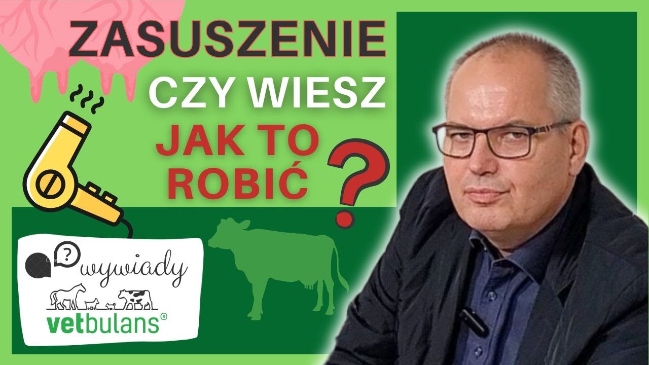 Czy wiesz ile tracisz przez złe zasuszanie? 💸| Od zasuszenia zależy cała laktacja | Zasuszenie krowy