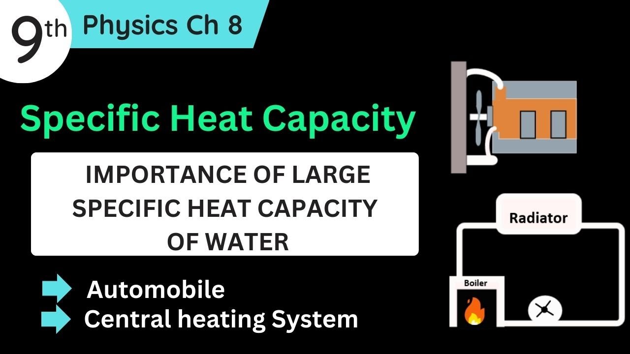 Specific Heat Capacity Class 9 Physics | Importance of Large Specific Heat Capacity of Water Class 9