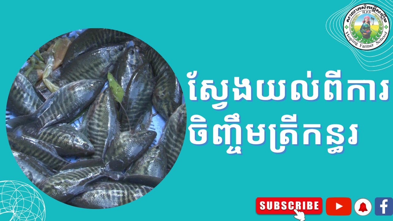 នាទីកសិកម្ម/ការចិញ្ចឹមត្រីកន្ធរ