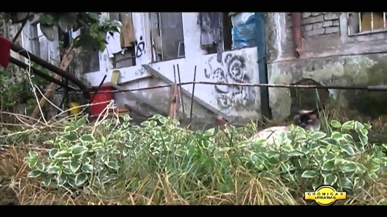 Crónicas Urbanas - Hospital 