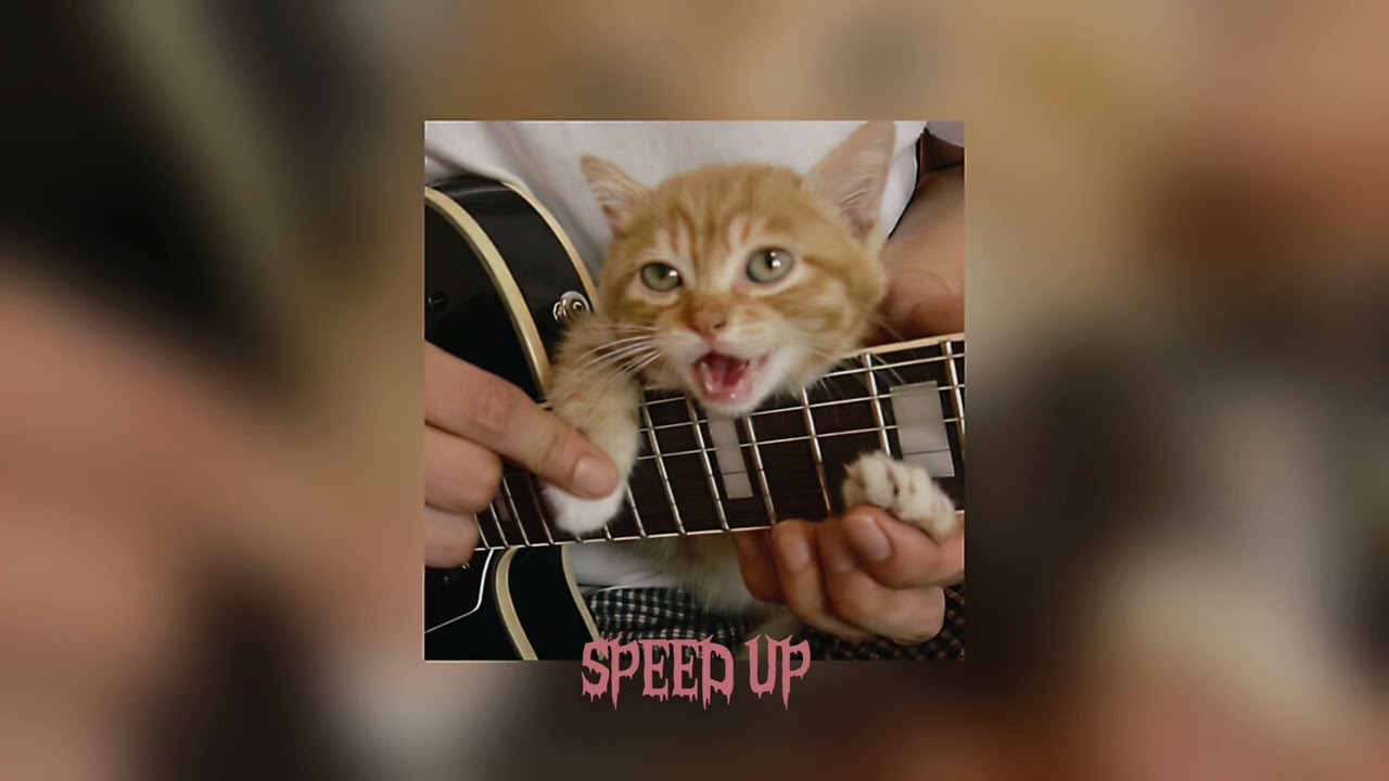 Glass Animals - Heat Waves (speed up)