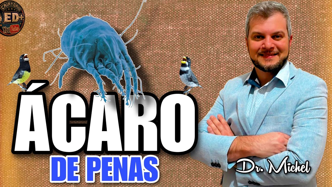 Explicação PERFEITA, e TRATAMENTO!