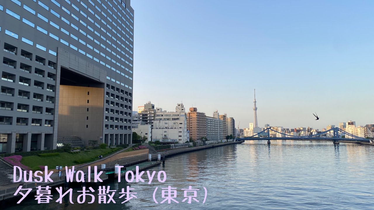 Dusk walk (Tokyo). 夕暮れお散歩 (東京)。