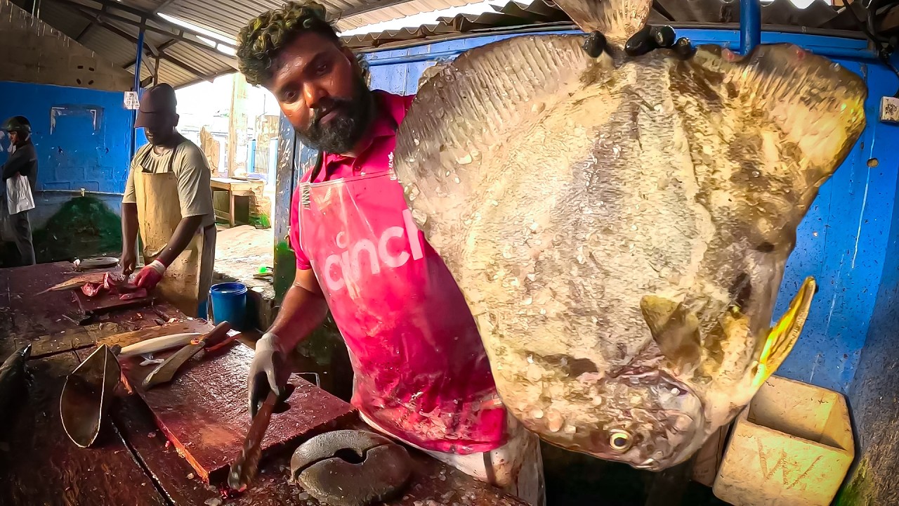Golden Hour Grids: Big Bat Fish at Negombo’s Famous Evening Market