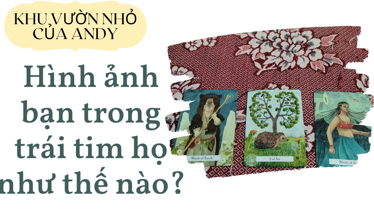 Chọn 1 tụ bài Tarot - Hình ảnh bạn trong trái tim họ như thế nào? - Alo Andy
