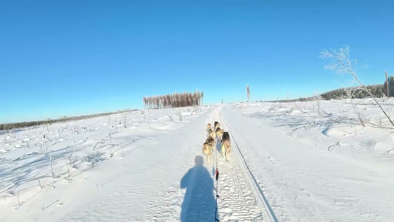 27km Huskyvaljakolla