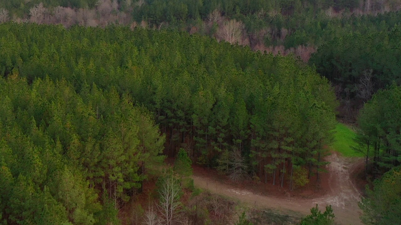 Deer Creek Farm Tract 1 Property Highlights