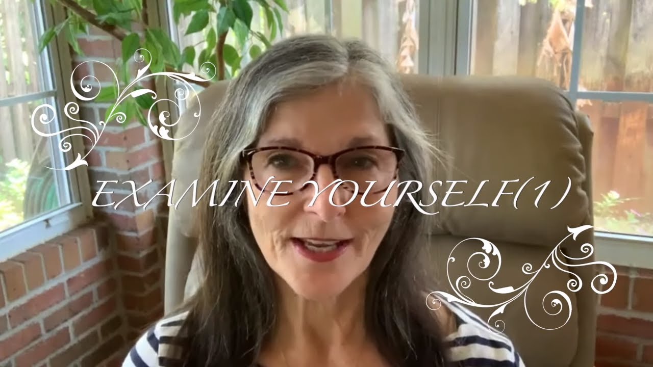EXAMINE YOURSELF -A PATREON SAMPLE VIDEO - FLYLADY KAT ROUTINES AND ZONES -A CLEAN HOME WITH FLYLADY