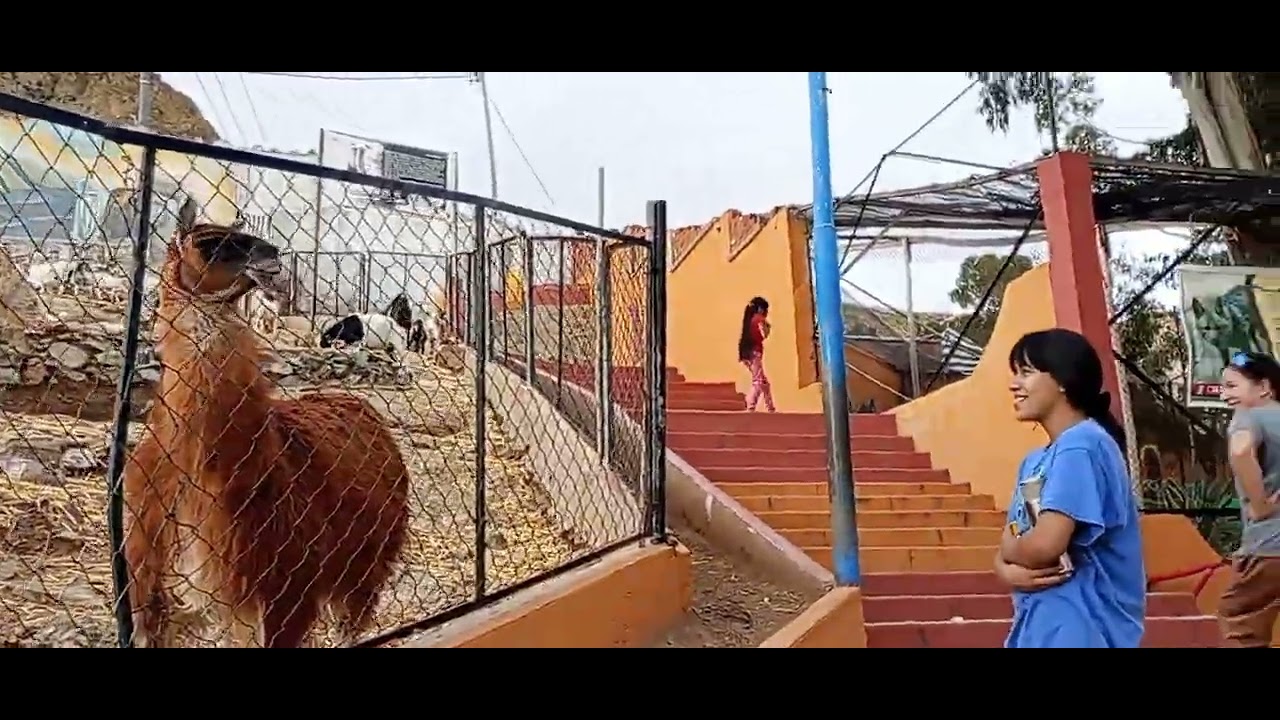 ZOO ORURO 🇧🇴