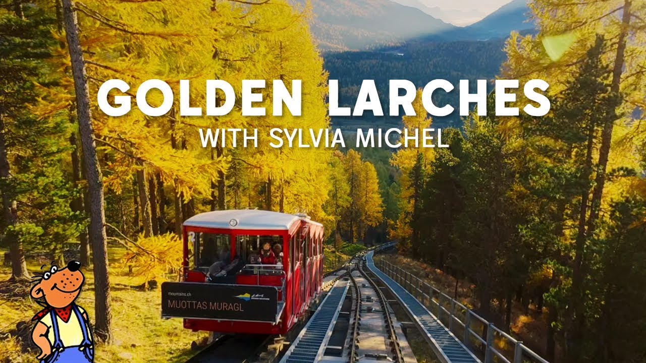 A Peaceful Autumn Walk in Engadin • Golden Larches with Sylvia Michel