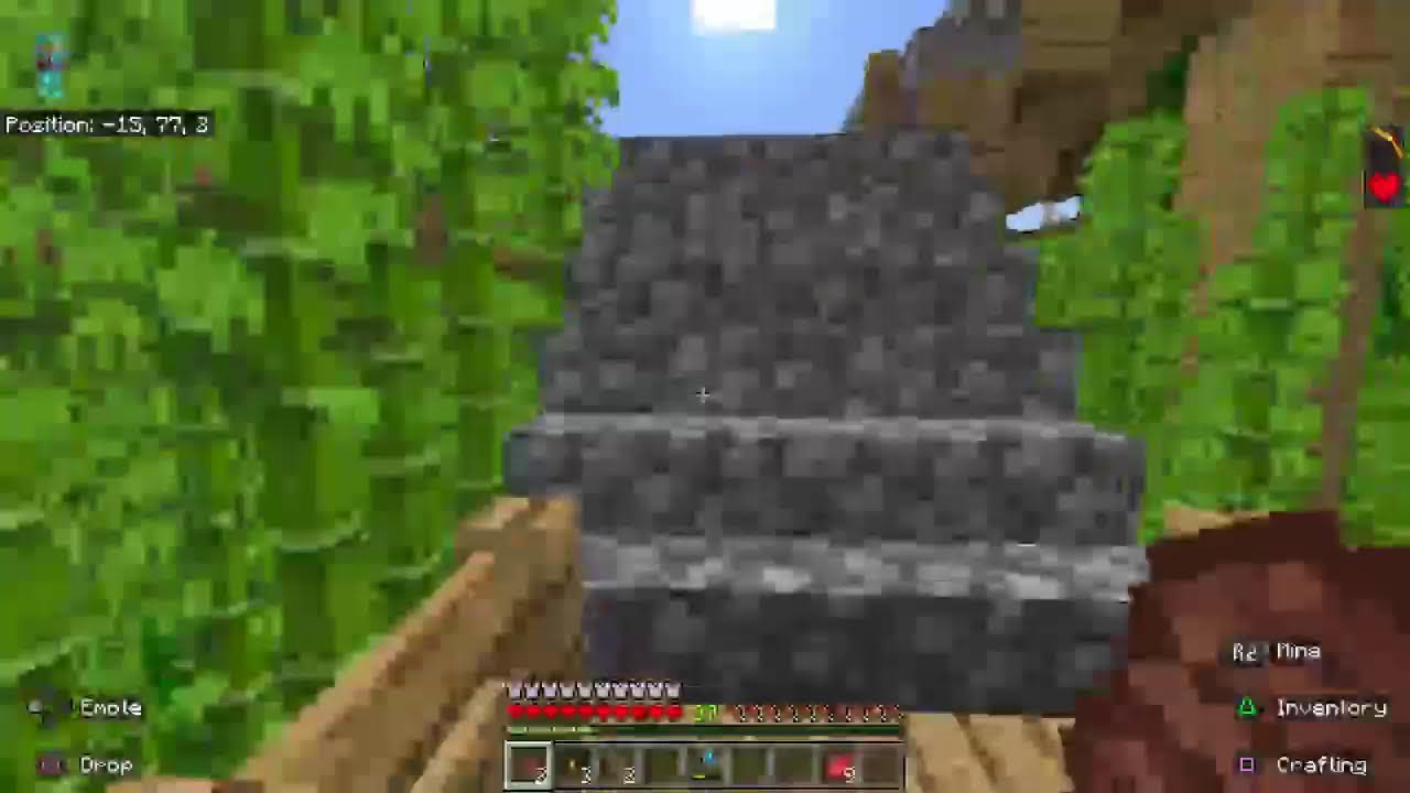 Minecraft