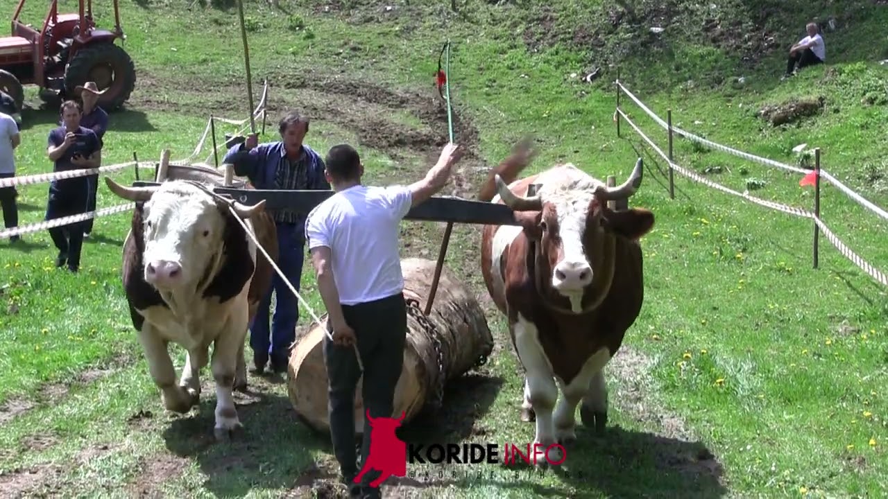 Nedjo Plakalović sa Romanije sa svojim teškašima podržao Škrbiće
