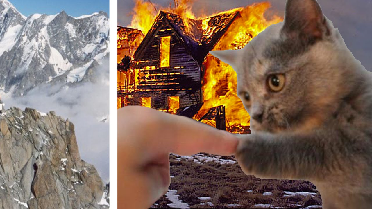 MI SONO ALLEATO CON IL GATTO DI ANIMA + IN VIAGGIO PER COURMAYEUR (Vlog)