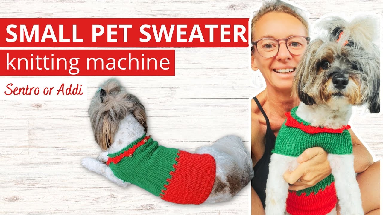 Knit Your Dog's Coziest Sweater: Sentro or ADDI Express (1 Day Project)