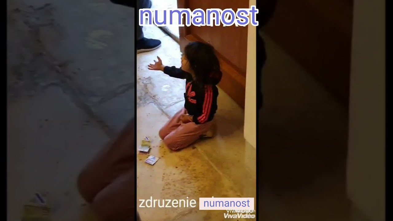 Humanost so cel