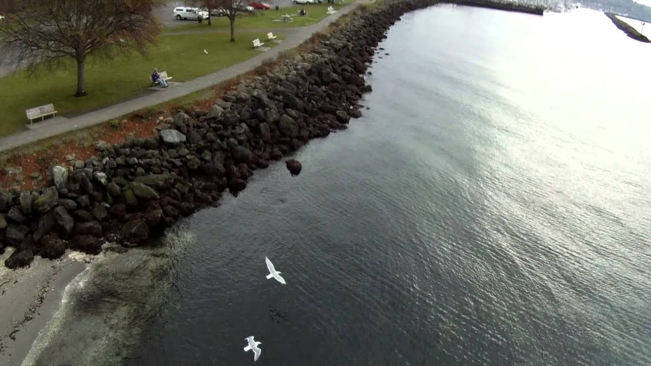 Golden Gardens FPV Flight, Seattle WA