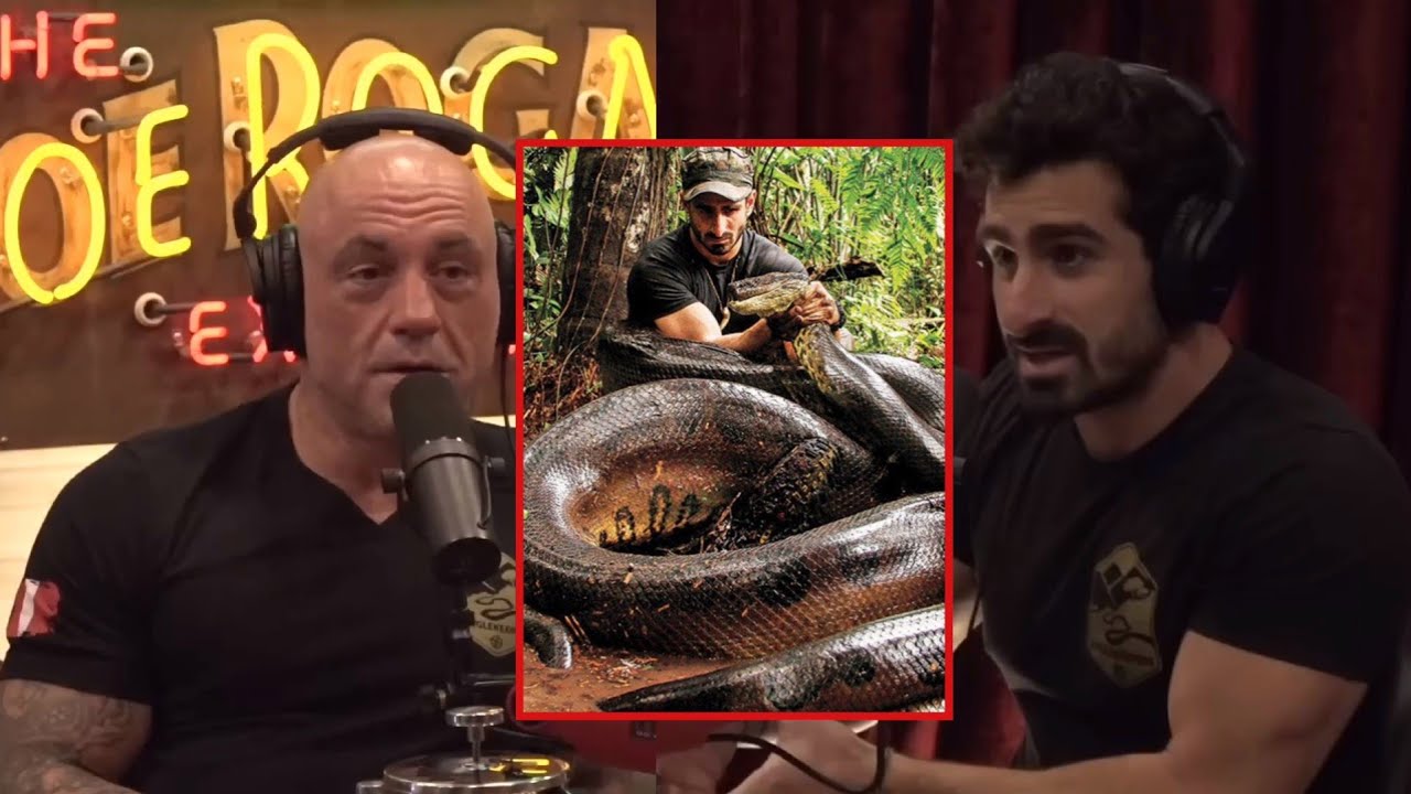 JRE: The Biggest Anaconda Ever? | Paul Rosolie