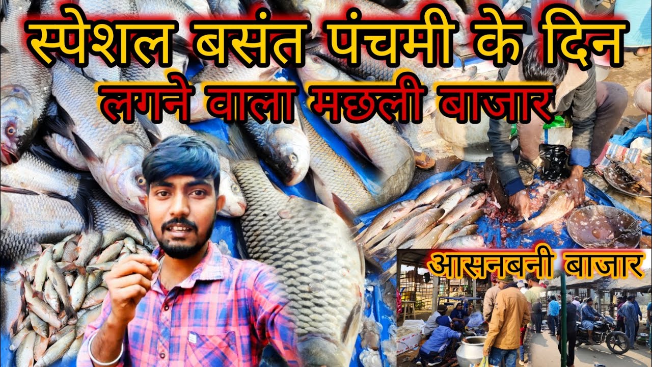 स्पेशल बसंत पंचमी के दिन लगने वाला मछली बाजार 🔥| Asanbani Fish Market 😱
