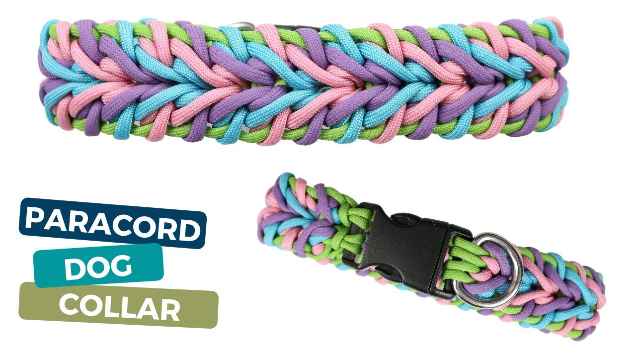 HOW TO MAKE A PARACORD DOG COLLAR TUTORIAL // Beginner Paracord