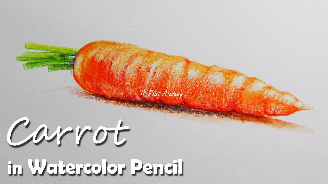 How to Paint A Carrot in Watercolor Pencil